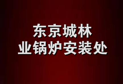 东京城林业锅炉安装处