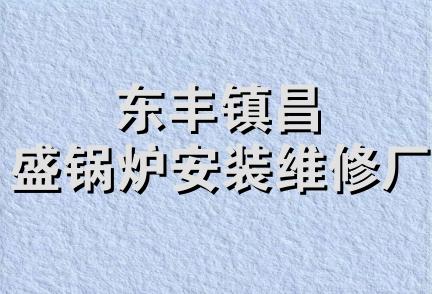 东丰镇昌盛锅炉安装维修厂