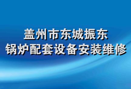 盖州市东城振东锅炉配套设备安装维修处