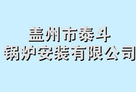 盖州市泰斗锅炉安装有限公司