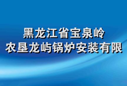 黑龙江省宝泉岭农垦龙屿锅炉安装有限公司