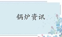 2022-2028年全球与中国生物质蒸汽锅炉行业发展趋势及投资战略分析报告