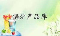 浴池洗澡锅炉陕西白狮燃煤系列