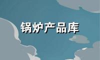 专业生产、供应浴池专用锅炉