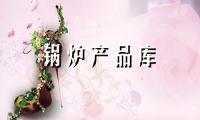 豪世博供應(yīng)燃煤蒸汽鍋爐