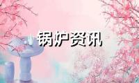 蒸汽发生器“水处理”存在的问题