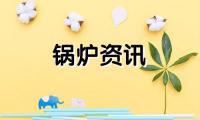 走友谊之路，墨西哥生物质锅炉客户对新力锅炉的考察之旅